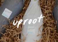 Uproot Wines