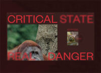 CRITICAL DANGER