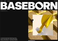 BASEBORN