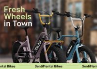 SENTIMENTAL BIKES