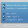 Fancy checkboxes and radio buttons with CSS jQuery