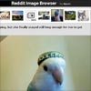 Reddit Image Browser with jQuery & Html5