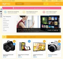 Responsive Magento Theme - Gala BigShop