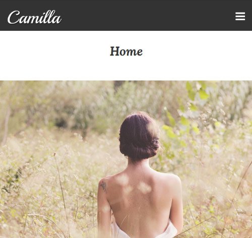 Camilla - Horizontal Fullscreen Photography Theme!