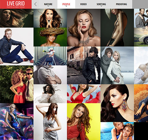 LIVE GRID - Responsive Interactive Wordpress Theme