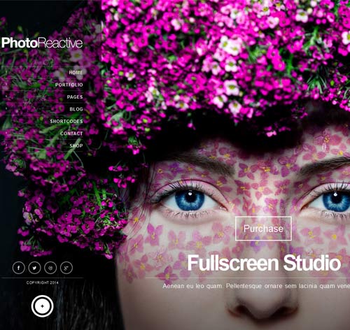 PhotoReactive - Fullscreen Studio for WordPress