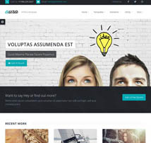 Aura - Responsive Multipurpose Template