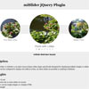 miSlider : jQuery Multi-Item Slider Plugin