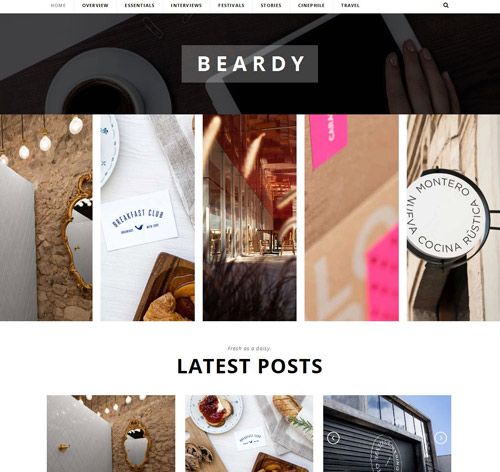 Beardy - Responsive Personal WordPress Blog Theme