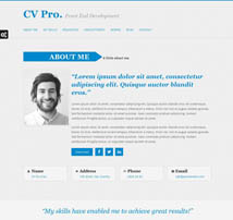 My Cv - Responsive And Retina Drupal theme / CV