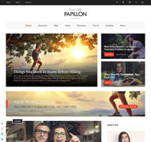 Papillon - Creative WordPress Blog Theme