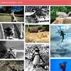 jQuery Nice Gallery – Flickr