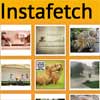 instafetch : jQuery Fetch Instagram media Plugin