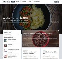 Hybrid - Clean & Modern WordPress Blog Theme