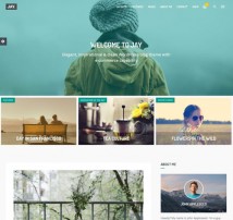 Jay - Elegant WordPress Blog Theme