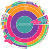 Cake Chart : Interactive Multi Layer Pie Chart