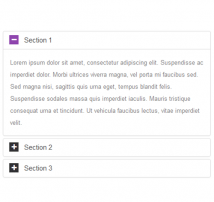 Bootstrap Accordion 11