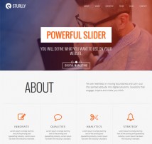 Sturlly Responsive One Page Multipurpose Joomla Template