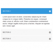 Bootstrap Accordion 13