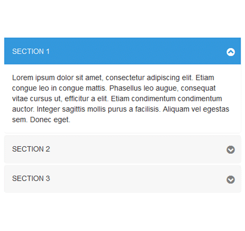 Bootstrap Accordion 13