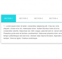 Bootstrap CSS Tab Style 17