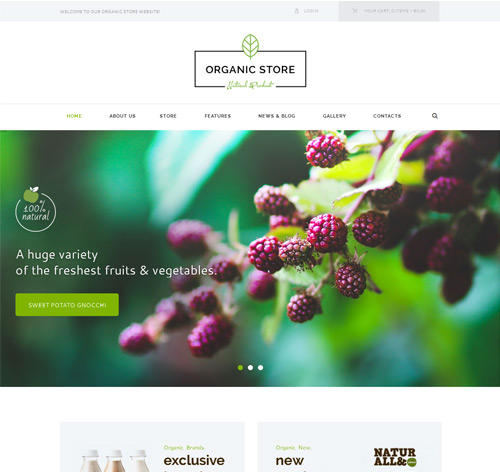 Organic Store - Organic Food & Eco Products Theme