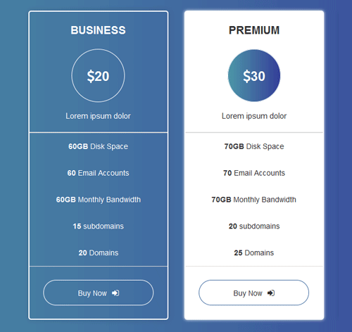 Pricing Table Style 24