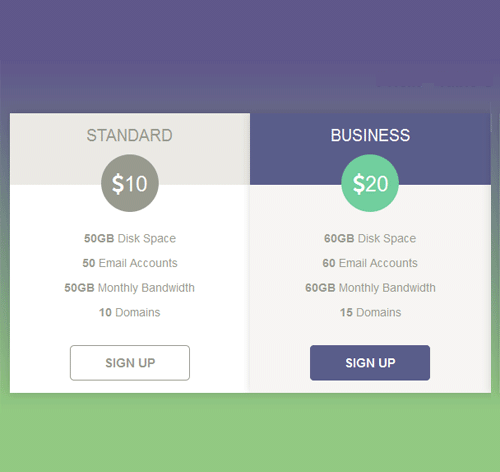 Pricing Table Style 29