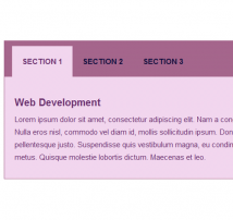 Bootstrap CSS Tab Style 37