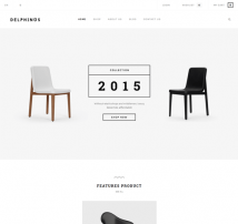 Delphinus - Creative Multi-Purpose Magento Theme