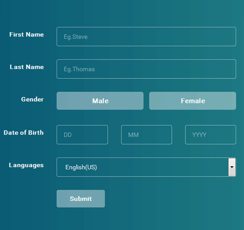 Bootstrap CSS Form Style 5