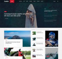 Coolist | Infinite Scroll Magazine WordPress Theme