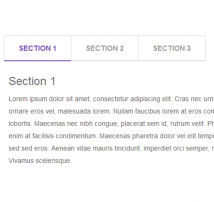 Bootstrap CSS Tab Style 49