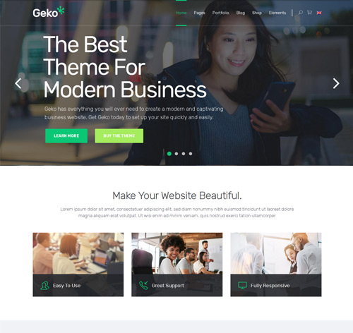 Geko - A Smart Theme For Modern Businesses