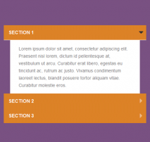 Bootstrap CSS Accordion 53