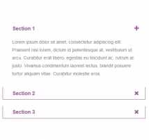 Bootstrap CSS Accordion 55