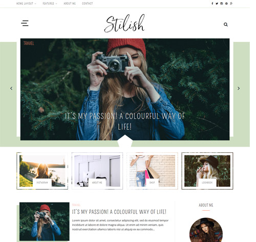 Stilish - Responsive WordPress Blog Theme