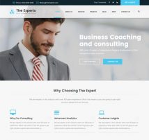 The Experts - Business Consulting and Professional Services WordPress Theme