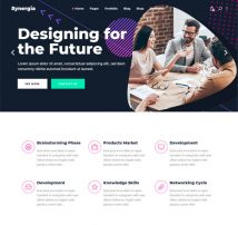 Synergia - A Multi-Concept Theme for Digital Agencies and Startups