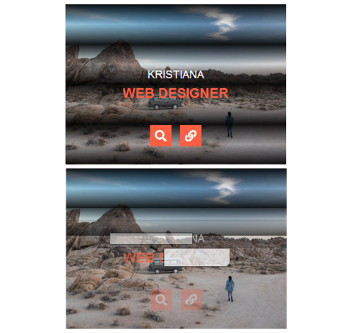 Hover Effect Style 194