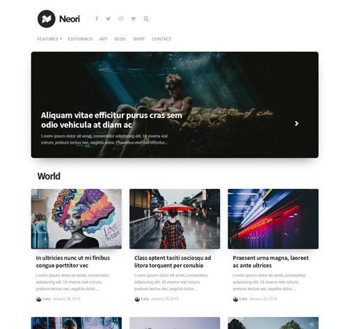 Neori - News and Magazine WordPress Theme