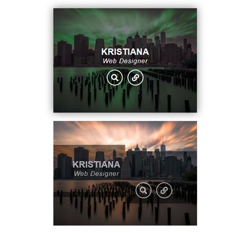 Hover Effect Style 209