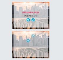 Hover Effect Style 212