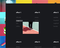 Image Reveal Hover Effects with CSS