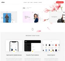 Ciloe - Multipurpose WooCommerce Theme