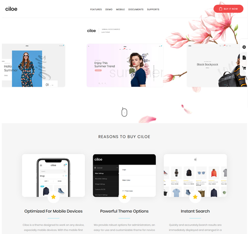 Ciloe - Multipurpose WooCommerce Theme