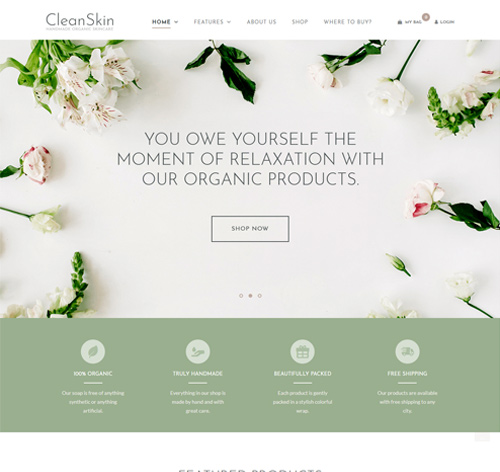 CleanSkin | Handmade Organic Soap & Natural Cosmetics Shop WordPress Theme