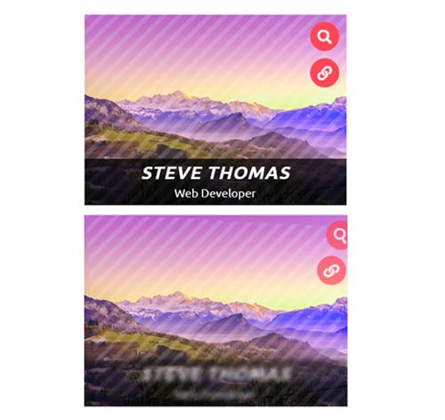 Hover Effect Style 221