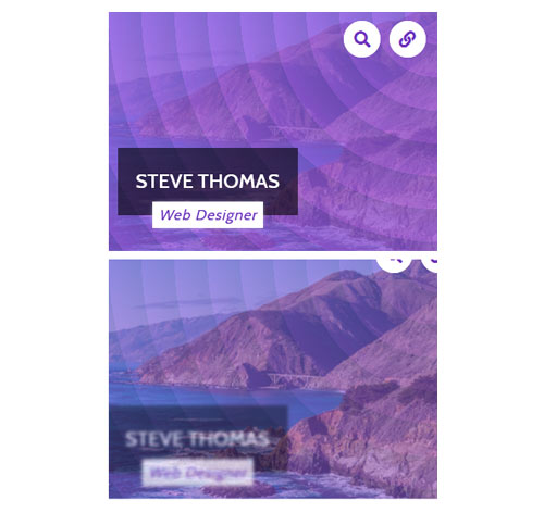 Hover Effect Style 232