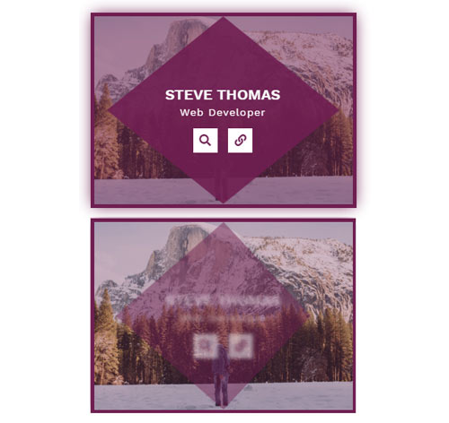 Hover Effect Style 261